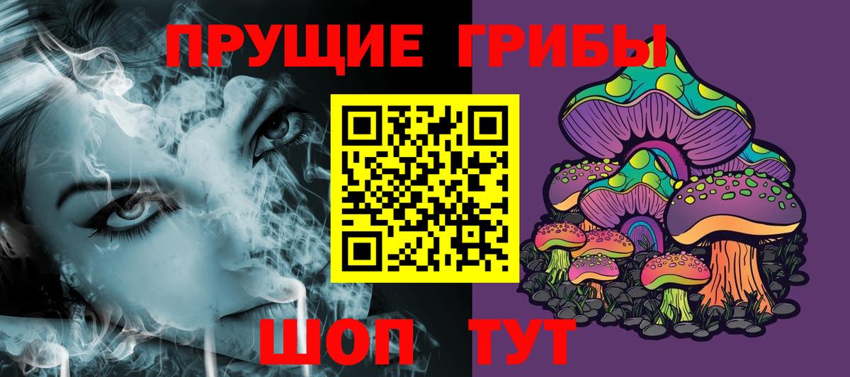 Псилоцибиновые грибы MAGIC MUSHROOMS Чернушка