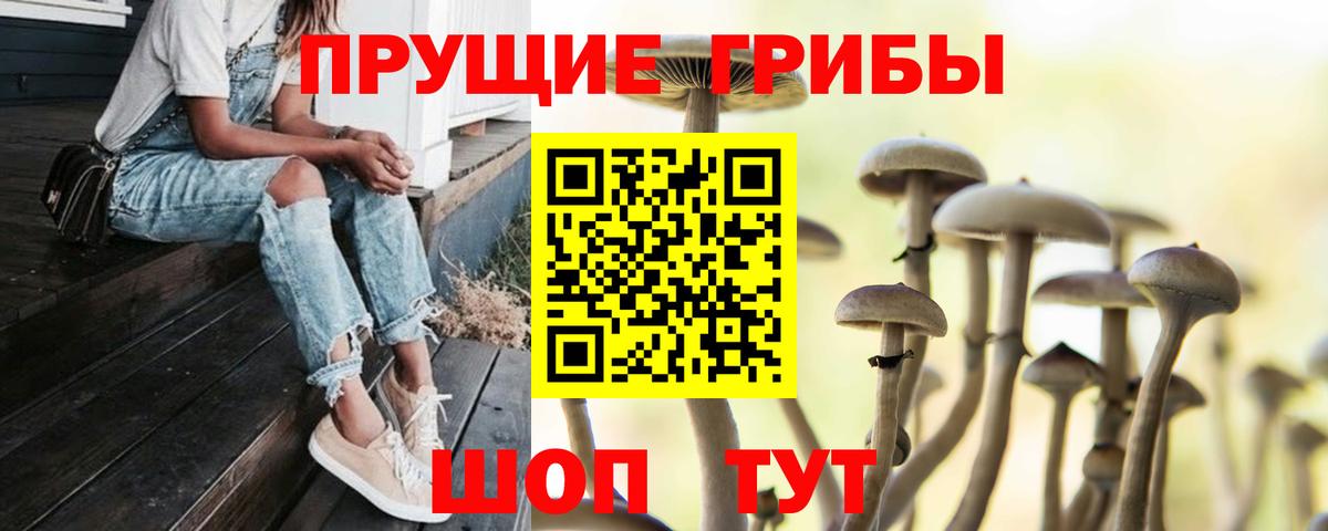 Галлюциногенные грибы ЛСД  Вход с VPN  Чернушка  Псилоцибиновые грибы Cubensis 