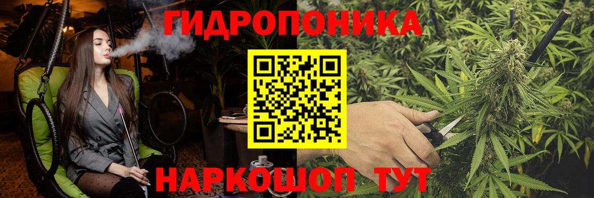 Шишки марихуана конопля  Вход с VPN  Чернушка  Канабис планчик  Бошки Шишки Bruce Banner  Конопля VHQ 